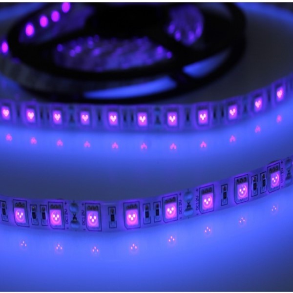 TIRA LED 5MTRS 4´8W/ML 12V IP20 ULTAVIOLETA